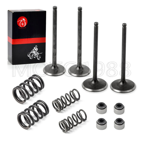 Polaris Predator 500 Intake Exhaust Valves Seals Spring (2003–2007)