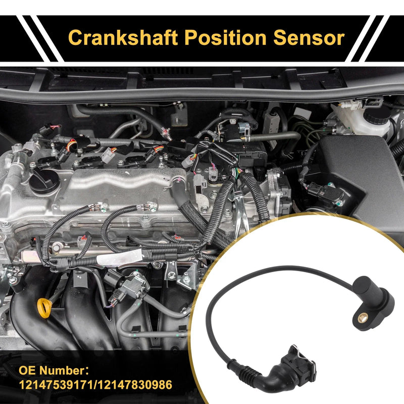 BMW M3 Coupe 1 Pc Crankshaft Position Sensor (2000-2006)