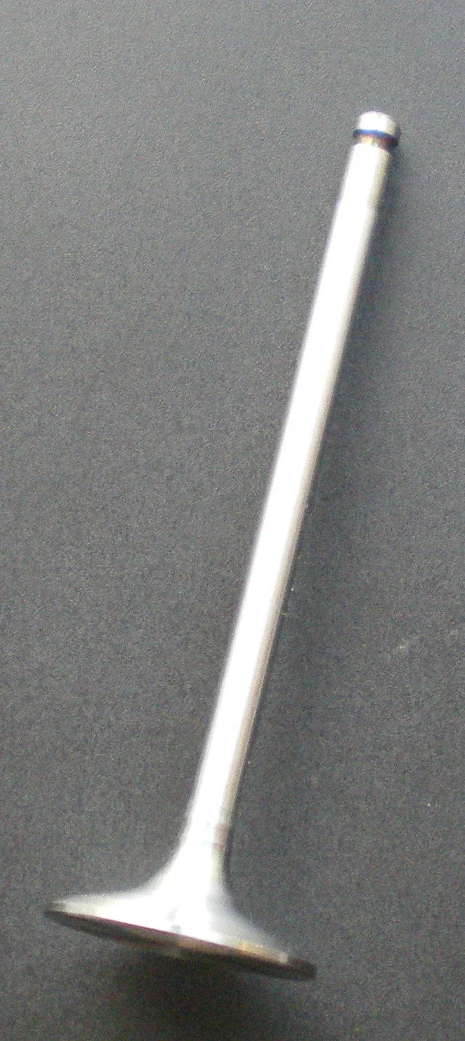 Renault Clio Twingo Kangoo Inlet Valve