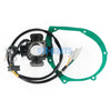 Kawasaki KLX125 Magneto Stator Coil & Gasket (2003)