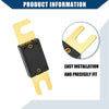 Car, Motorcycle, Boat - Gold Tone, Black 3 x Mini ANL 180A Fuses