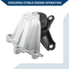 Honda Accord, Crosstour Engine Motor Mount & Transmission Mount (2008-2012)