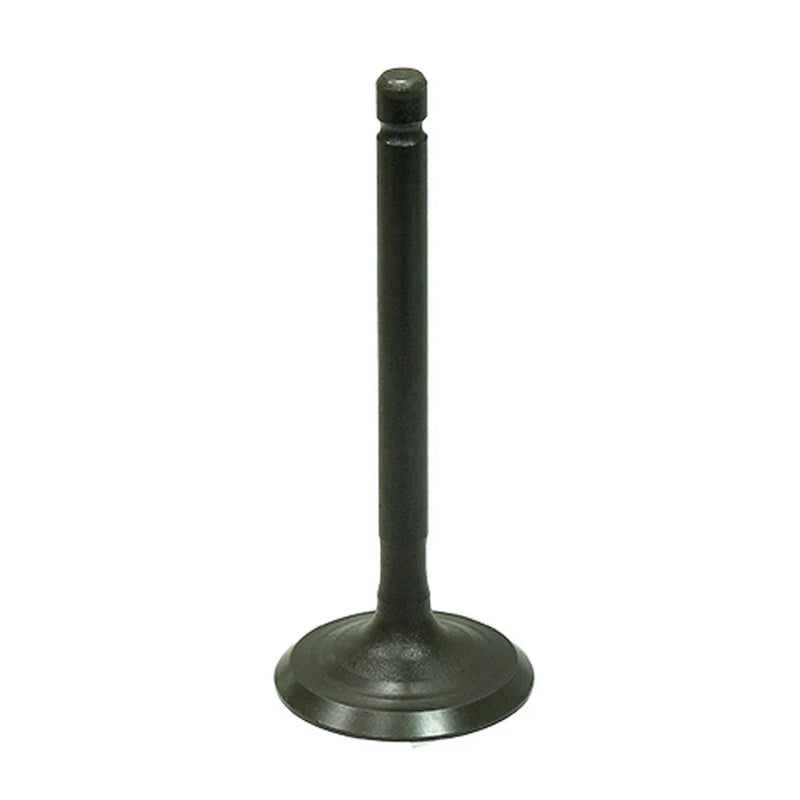 Yamaha Breeze 125, Raptor 125 & Grizzly 125 Bronco Engine Intake Valve