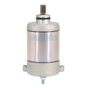 CF Moto 250 NK, 300 NK, 300 SS Starter Motor (2021-2024)
