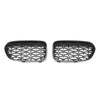 BMW 1 Series F52 Kidney Grille (2018-2021)