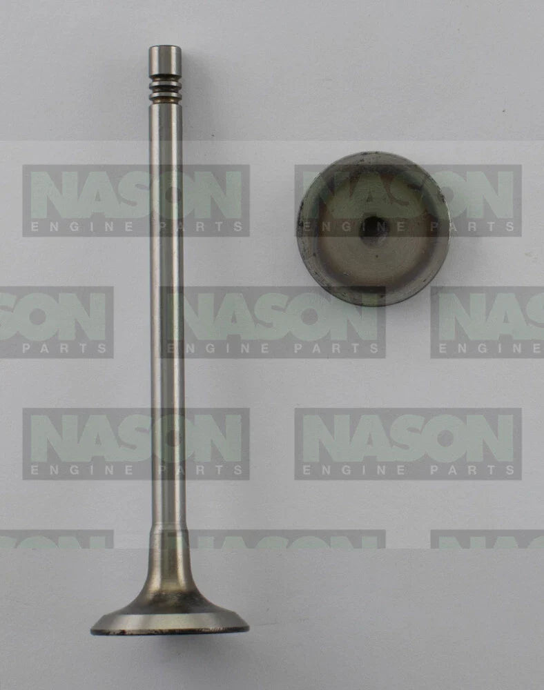 Nissan Navara 2.3L YS23DDT YS23DDTT 8 x Inlet Valve