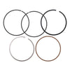 Honda ATC250 XL250S XL250R TRX250 TRX300 Piston Rings Set (1980-2006)