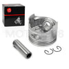 EZGO Golf Cart Piston & Ring Set, Gasket (1991–2026)