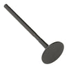 Kawasaki Brute Force 300 Bronco Engine Exhaust Valve (2012–2025)