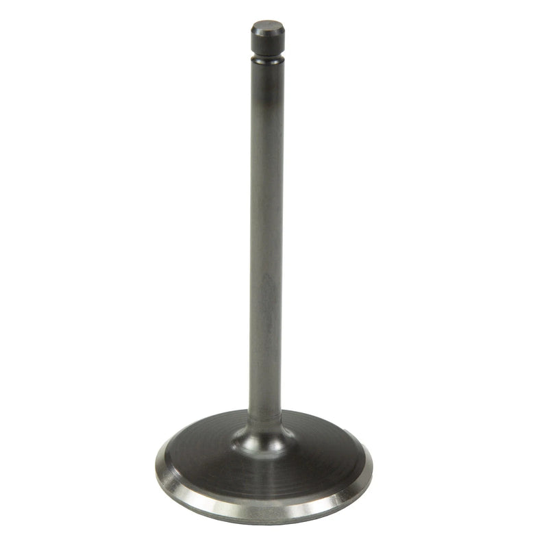 Polaris Engine Intake Valve (2017–2020)