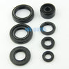 Yamaha TZM150 Engine Oil Seal Set (1996-2005)