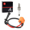Suzuki King Quad AXi 750 700 X4 Ignition Coil Spark Plug (2008–2013)