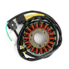 Kawasaki KLX250 D-Tracker Stator (2008-2019)