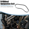 Infiniti FX35 V-Ribbed Serpentine Drive Belt (2003 - 2007)