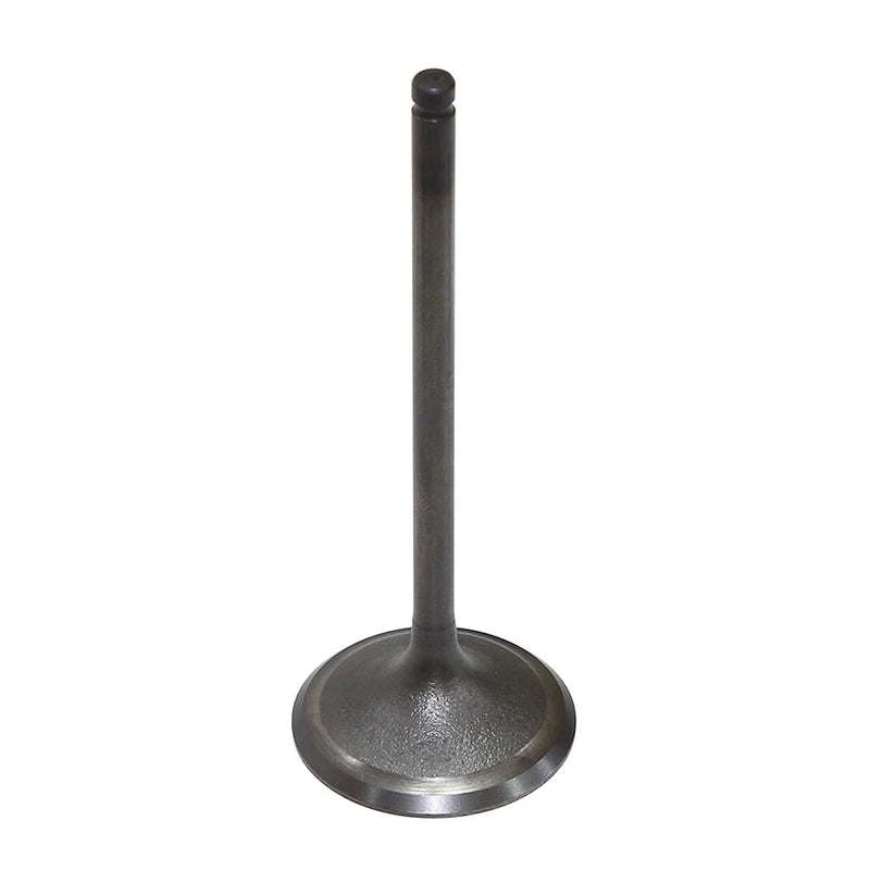 Arctic Cat / Textron Bronco Engine Intake Valve