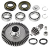 Honda Rancher 350 TRX350 00-06 Rear Diff Pinion Ring Gear Bearings