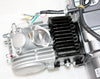 Lifan PIT PRO DIRT BIKE & DRIFT KARTS 125cc Manual Clutch Engine