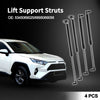 Toyota Land Cruiser Hood & Tailgate Lift Supports Struts (2008-2021)
