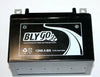 PIT PRO DIRT QUAD BIKE ATV BUGGY SCOOTER MOTORCYCLE 12V 6.5AH Battery