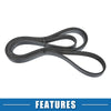 Chevrolet Corvette Serpentine Belt V-Ribbed Belt