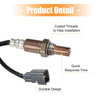 Toyota Tacoma, Tundra Oxygen Sensor (2005-2006)