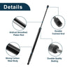 Toyota Highlander Rear Hatch Lift Supports (2001-2023)