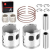 Banshee 350 Pistons & Ring Bearing Kit 64mm (1987–2006)