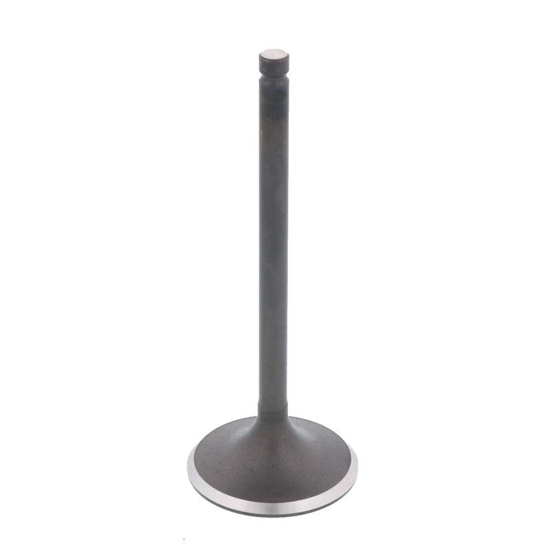 Suzuki King Quad 300 4x4 Bronco Engine Intake Valve (1991–2002)