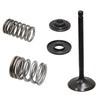 Yamaha Raptor 250 Intake Valve (2008–2013)