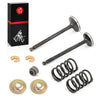 Yamaha Golf G2–G11 285cc Piston Kit Ring Valve 0.25mm