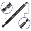 Dodge Ram 1500 Tailgate Lift Support Set (2019-2023)
