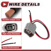 Ford F-150 License Plate Light Socket Wiring (2001-2014)