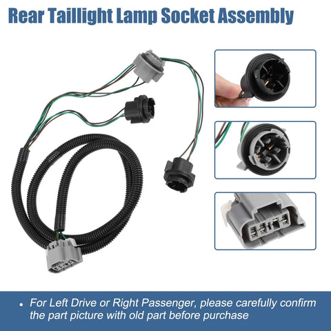 Chevrolet Silverado Tail Lamp Holder & Wiring Harness