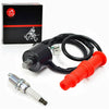 Polaris Sportsman 500 Magnum 425 Xpedition 425 Ignition Coil Spark Plug (2001–2006)