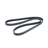 Jeep Cherokee Reinforced Serpentine Belts (2019-2021)