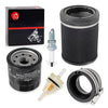 Kawasaki Prairie 360 KVF360 Air Filter (2003-2013)