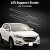 Hyundai Entourage Hood Lift Supports Struts (2007-2010)