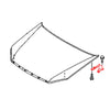 Isuzu D-Max Chevrolet RT50 RT85 4WD Utility 2012-2023 Bonnet Hinge Set