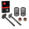 Club Car DS Precedent Golf Cart FE290 Valve Seal Kit (1992–2026)