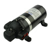 DP-160M High Pressure Water Pump 5.5LPM 160PSI (220VAC)