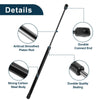 Acura MDX Front Hood Lift Supports Struts