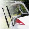 Nissan Sentra Rear Hatch Lift Supports (2000-2006)