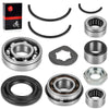 Yamaha Banshee YFZ 350 Transmission Bearing Rebuild Kit (1987–2006)