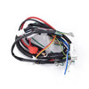 ATV Electric-Quad CDI WIRE HARNESS-STATOR ASSEMBLY