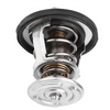 Buick Cadillac Chevrolet GMC Hummer Engine Thermostat (2003-2010)