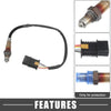 BMW 335i O2 Oxygen Sensor Replacement (2014-2015)
