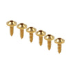 Fastening 6 x M5x15mm Titanium Torx Head Self Tapping Screws
