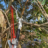 Garden Tools 4M Telescopic Pruning Scissors