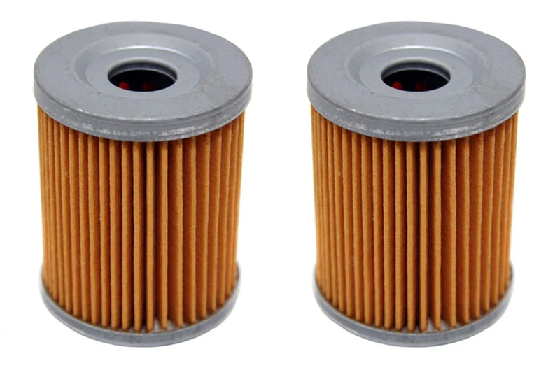 Suzuki Quadrunner 160 230 250 300 2 x Oil Filters (1985–2004)