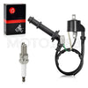 Suzuki RMZ 450 RM-Z450 Ignition Coil Pack & CAP (2005–2012)